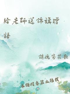 给老师送锦旗赠语