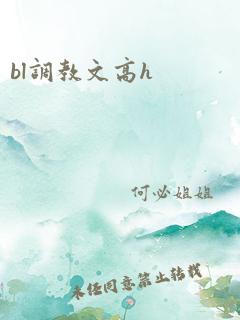 bl调教文高h