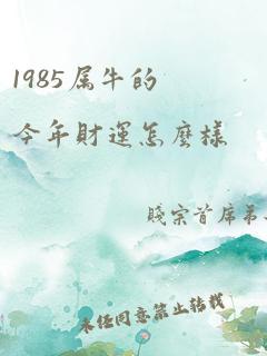 1985属牛的今年财运怎么样