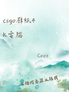 csgo壁纸4k电脑