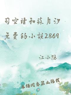 司空靖和苏月汐免费的小说2869