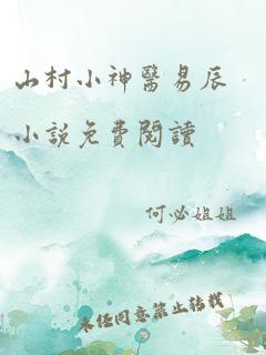 山村小神医易辰小说免费阅读