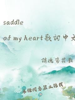 saddle of my heart歌词中文翻译