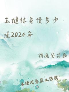 王健林身价多少亿2024年