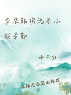 李辰韩玥沈梦小说章节