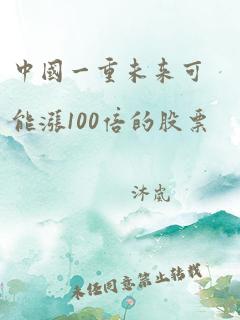 中国一重未来可能涨100倍的股票