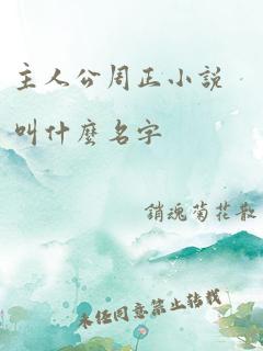 主人公周正小说叫什么名字