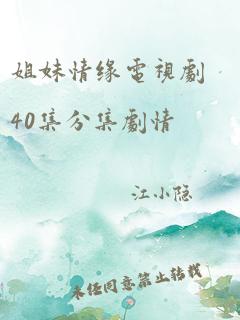 姐妹情缘电视剧40集分集剧情