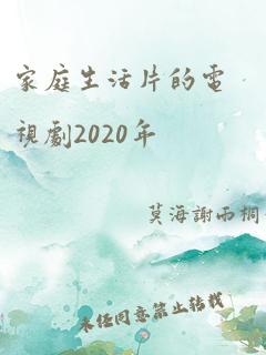 家庭生活片的电视剧2020年