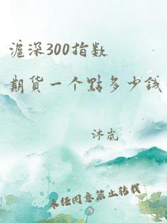 沪深300指数期货一个点多少钱