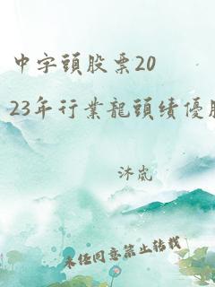 中字头股票2023年行业龙头绩优股