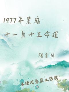 1977年农历十一月十三命运