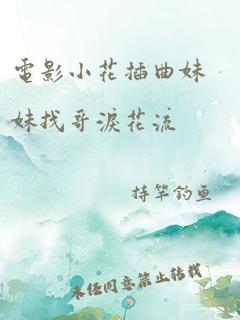 电影小花插曲妹妹找哥泪花流