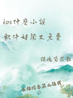 ios什么小说软件好用又免费