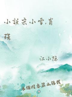 小说宋小雪,肖强