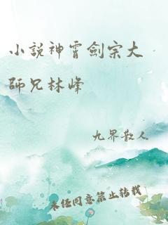 小说神霄剑宗大师兄林峰