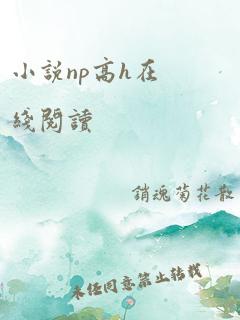 小说np高h在线阅读