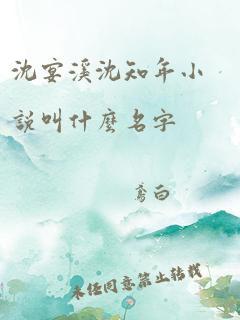 沈宴溪沈知年小说叫什么名字