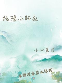 纯阳小师叔