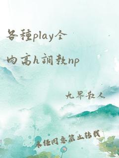 各种play全肉高h调教np