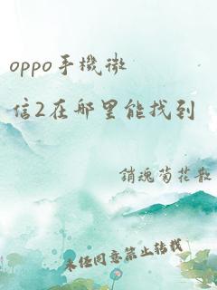 oppo手机微信2在哪里能找到