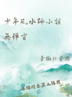 少年风水师小说无弹窗