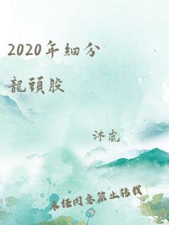 2020年细分龙头股