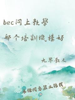 bec网上教学哪个培训机构好