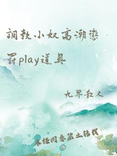 调教小奴高潮惩罚play道具