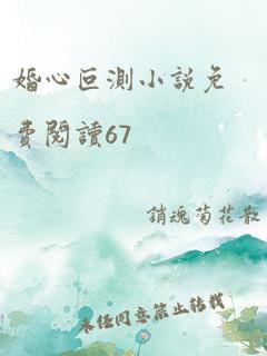 婚心叵测小说免费阅读67