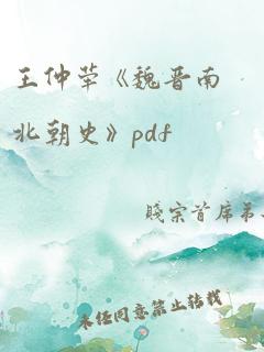 王仲荦《魏晋南北朝史》pdf