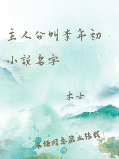 主人公叫李年初小说名字