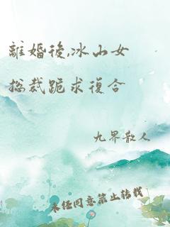 离婚后,冰山女总裁跪求复合