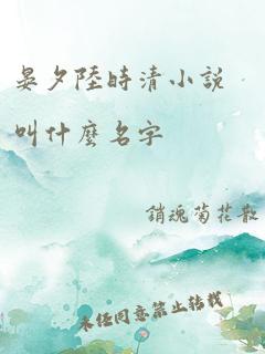 晏夕陆时清小说叫什么名字