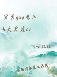 男男gay腐片h大尺度cv