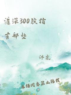 沪深300股指有哪些