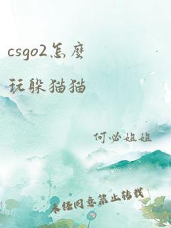 csgo2怎么玩躲猫猫