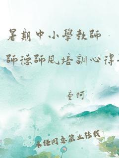 暑期中小学教师师德师风培训心得体会