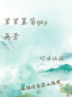 男男暴菊gay无套