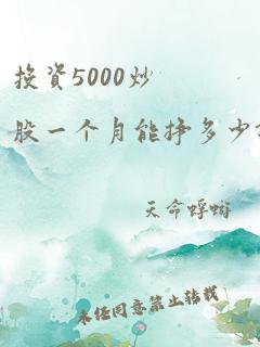 投资5000炒股一个月能挣多少钱