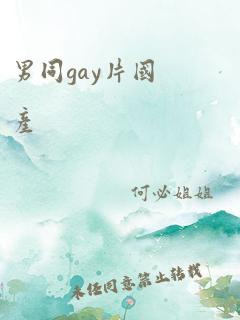 男同gay片国产