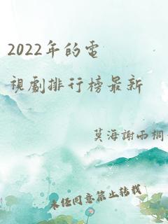 2022年的电视剧排行榜最新