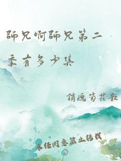 师兄啊师兄第二季有多少集