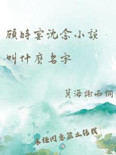 顾时宴沈念小说叫什么名字