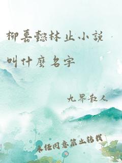 柳嘉懿林止小说叫什么名字