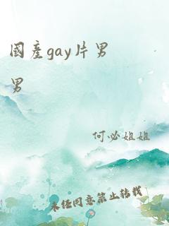 国产gay片男男