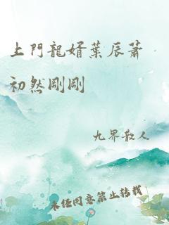 上门龙婿叶辰萧初然刚刚