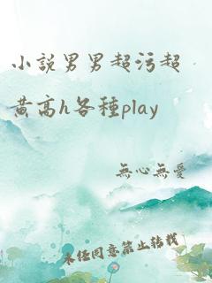 小说男男超污超黄高h各种play