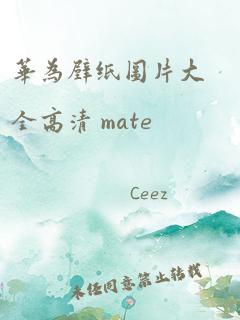 华为壁纸图片大全高清 mate