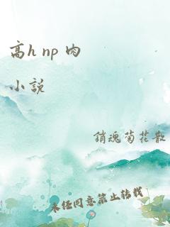 高h np 肉小说